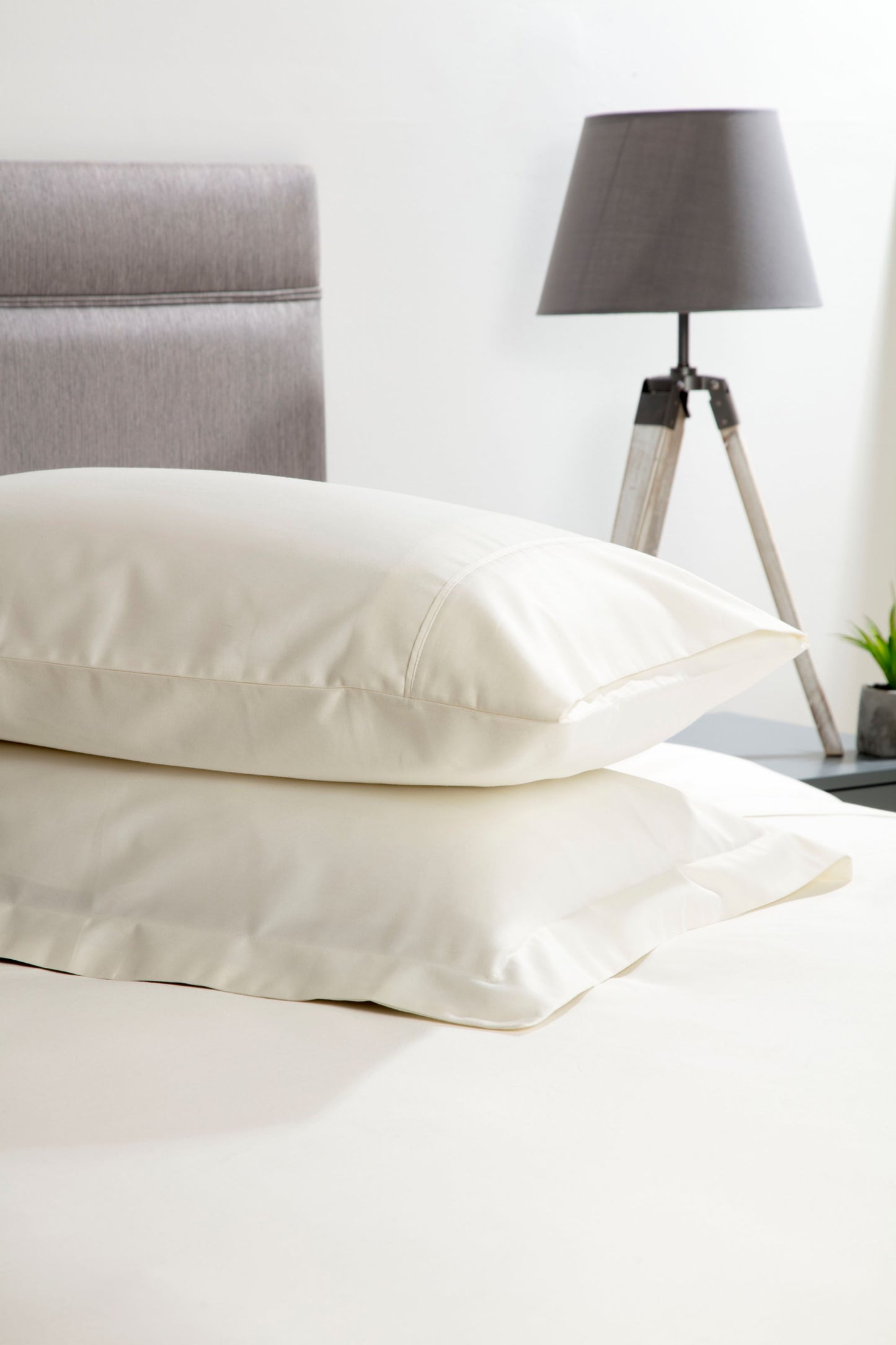 600 Thread Count Cotton Bed Linen in Ivory