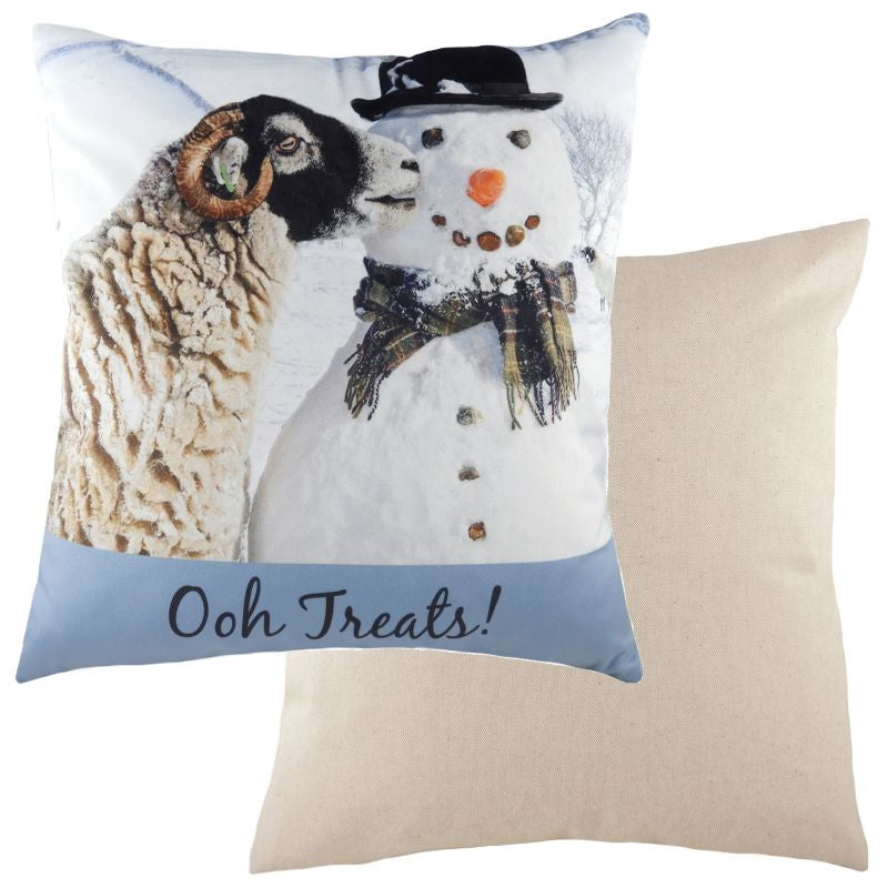 Cute 'Ooh Treats'  Cushion With Snowman