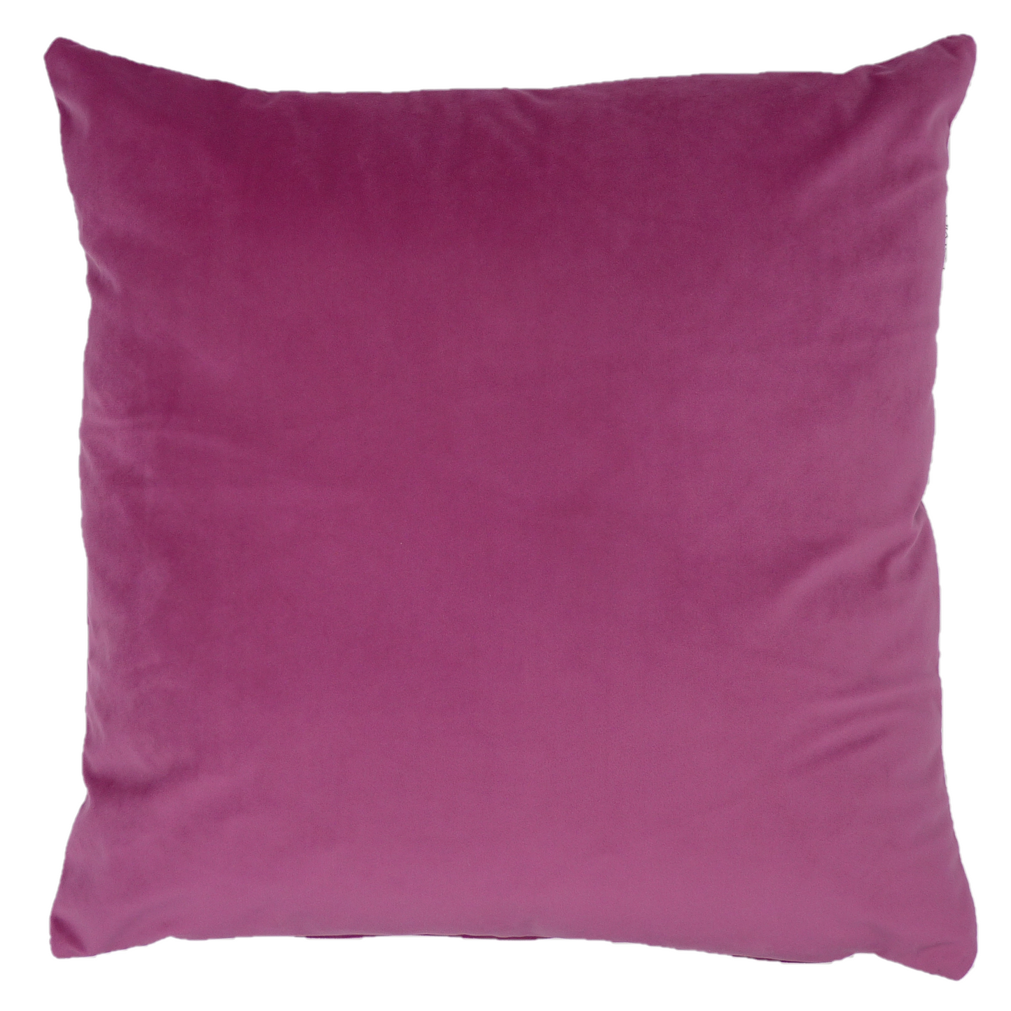 Opulence Velvet Cushion in Fuschia Pink